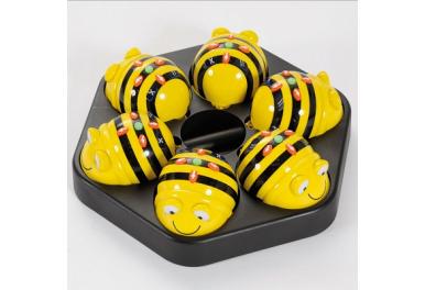   (Bee-Bot):   6 
